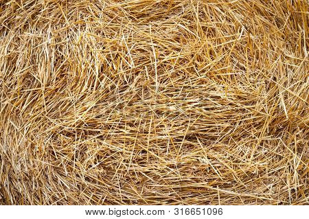 Hay Texture. Hay Bales Are Stacked In Large Stacks.