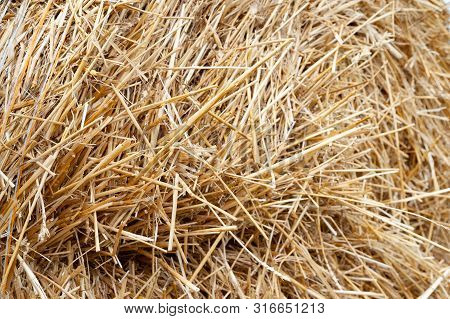 Hay Bales Texture . Hay Bales Are Stacked In Large Stacks.