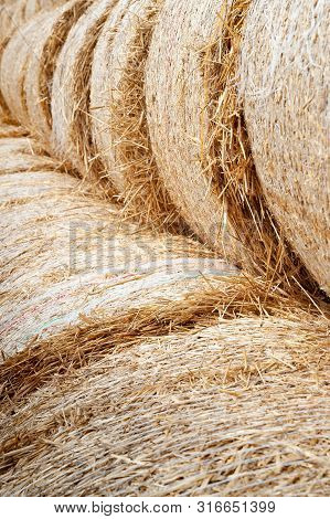 Hay Stacks. Close-up Of Large Hay Bales Stacked In Stacks.