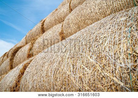 Close-up Of Hay Bales On A Blue Sky Background. Hay Bales Are Stacked In Large Stacks.