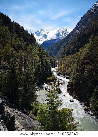 A River With Healthy Wather And A Lot Of Trees