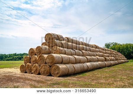 Hay Bales On The Field. Hay Bales Are Stacked On The Field In Large Stacks.