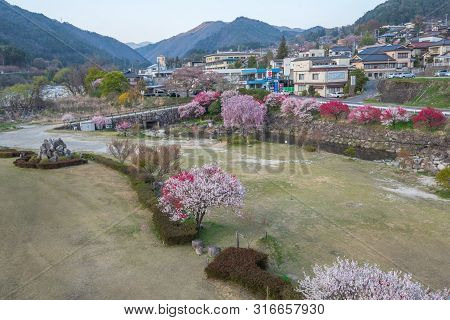 Nagiso,nagano, Japan - April 20, 2019 : View Of Peach Blossom At Nagiso Village In Kiso Valley Of Na