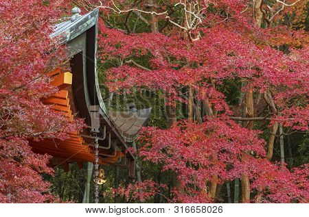 Details Of Historical Architecture And Red Maple Leaves In Kyoto, Japan In Autumn Season