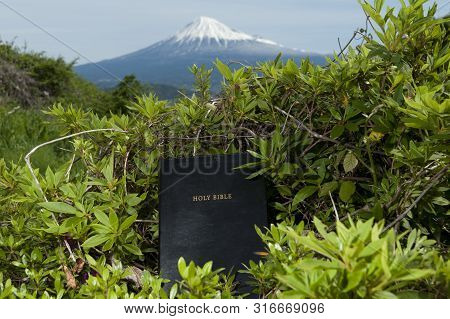 Beautiful landscape with Holy Bible among green leaves. Blurred background with Mount Fuji with snow covered peak. Horizontal shot.