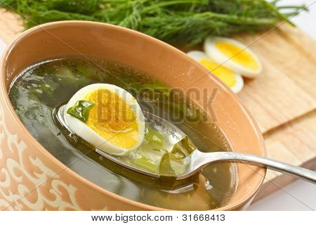 Grøn suppe af skovsyre