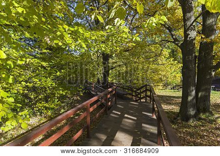 Well-maintained Pedestrian Walkway. Sunny Day In October. Landscape Reserve Teply Stan, Moscow, Russ