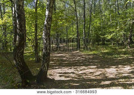 Sunlight Spots On The Footpath In The Landscape Reserve Teply Stan. Sunny Day In September. Moscow, 