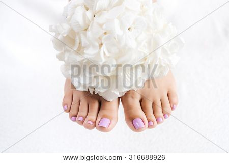 Feet and toenails after pedicure with white flowers