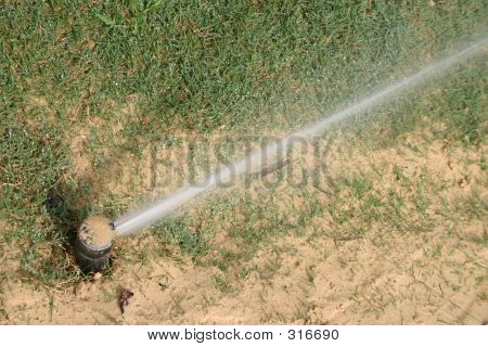 Irrigazione di prato