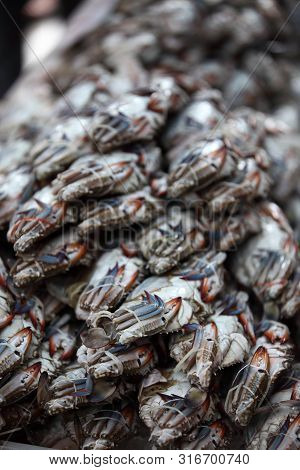 Fresh Crabs Piled Up For Sale In Asian Market
