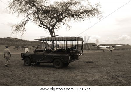 Safari