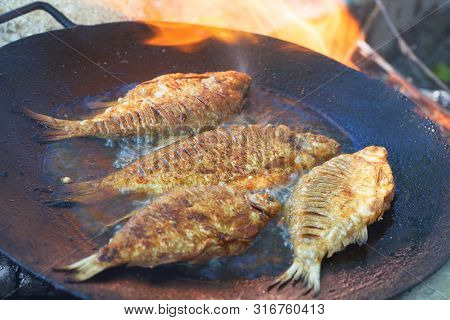 Frying Carp Fish In A Frying Pan On An Open Fire. Cooking Fish For Picnik Lunch.