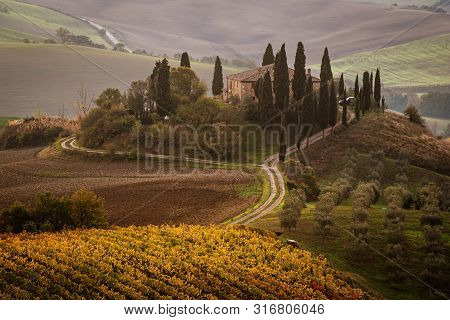 Beautiful Golden Sunrise In Tuscany, Italy With Vineyard. Natural Idillyc Seasonal Autumn Background