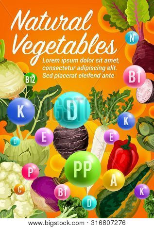 Natural Vegetable Vitamins In Fresh Broccoli, Radish And Zucchini, Bell Pepper, Beet And Cauliflower