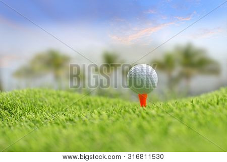 Golf Ball On Tee Ready To Be Shot.  Putting Golf Ball On Tee In Golf Course