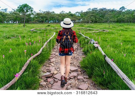 Woman Traveler With Backpack Walking At Krachiew Flower Field, Thailand. Travel Concept.