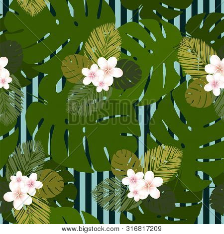 Seamless Striped Vector Tropical Pattern. Plumeria, Frangipani.
