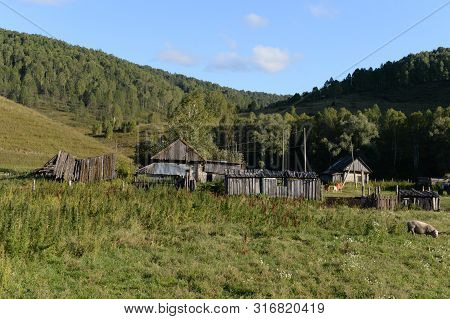 The Outskirts Of The Taiga Village Generalka Altai Territory. Russia