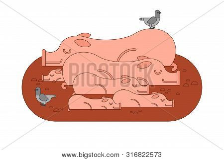 Pig Family In Mud. Pigs In Dirty Puddle