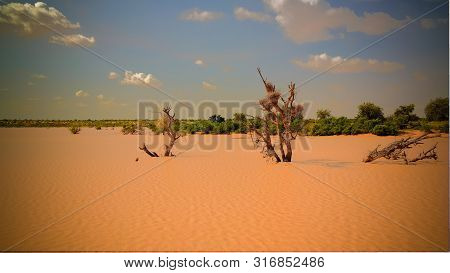 Panoramic Landscape View To Sahel And Oasis Dogon Tabki With Flooded River At Dogondoutchi, Niger