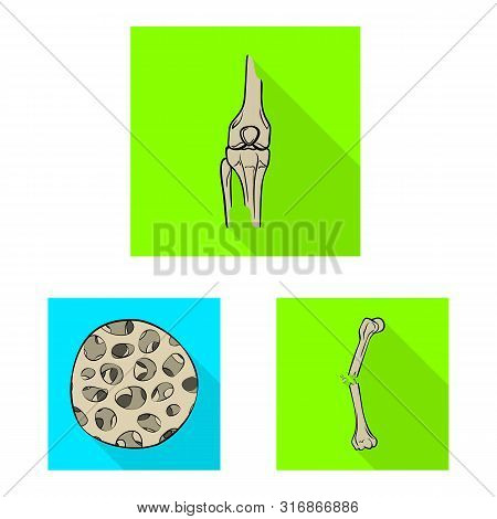 Vector Illustration Of Bone And Skeleton Sign. Set Of Bone And Human Stock Vector Illustration.