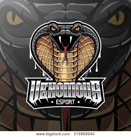 Cobra Head Mascot Logo Design With Text