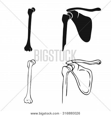 Vector Illustration Of Medicine And Clinic Icon. Set Of Medicine And Medical Vector Icon For Stock.
