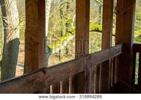 A High Altitude In A Natural Forest