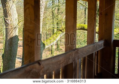 A High Altitude In A Natural Forest