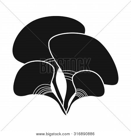 Vector Design Of Coral And Organic Symbol. Collection Of Coral And Red Stock Vector Illustration.