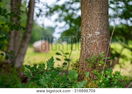 While Hiking A Wonderful View Of Nature