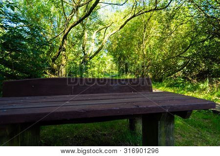 While Hiking A Wonderful View Of Nature