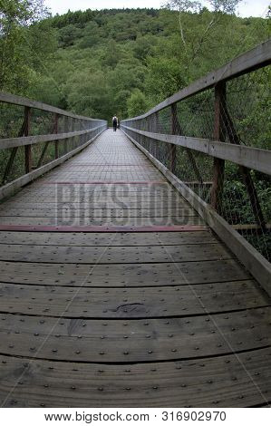 Long Narrow Wooden Path Through The Forest