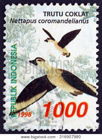 Indonesia - Circa 1998: A Stamp Printed In Indonesia Shows Cotton Pygmy Goose (nettapus Coromandelia