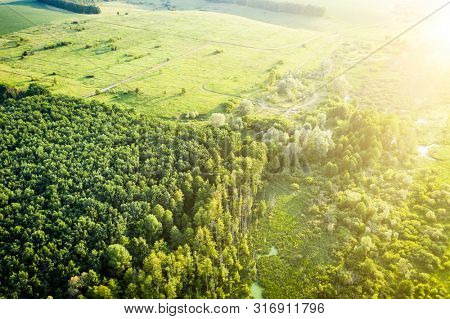 Green trees and meadow in sinrise, aerial view