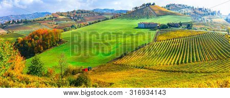 Autumn scenery, Vineyards in contryside of Piedmont, Northen wine region of Italy