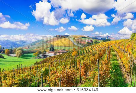 Beautiful autumn landscape with vineyards in Tuscany. Famos wine region of Italy