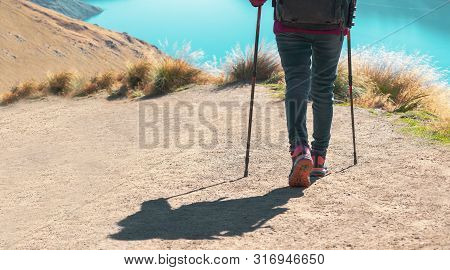 Hikers With Backpacks Walking Through A Meadow With Lush Grass. Hikers Walking In Forest With Poles 