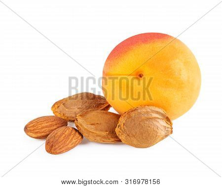 Apricot Fruit With Apricot Kernel And Apricot Stones Isolated On White