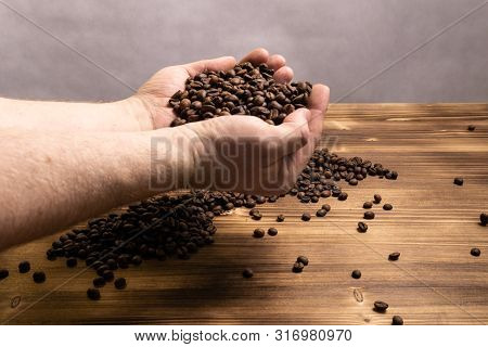 Dark Roasted Ready Fresh Coffee Beans In Bulk
