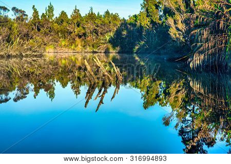 Native Bush And Tree Reflections On A Very Calm Okarito Lagoon On The West Coast