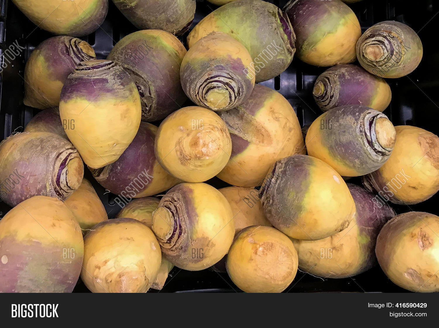 Yellow Turnips Image & Photo (Free Trial) Bigstock