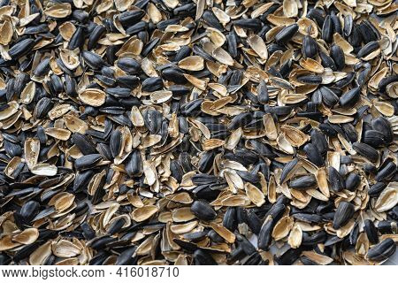 Hulls Sunflower Seed Husks. The Husks Of The Sunflower Seeds.