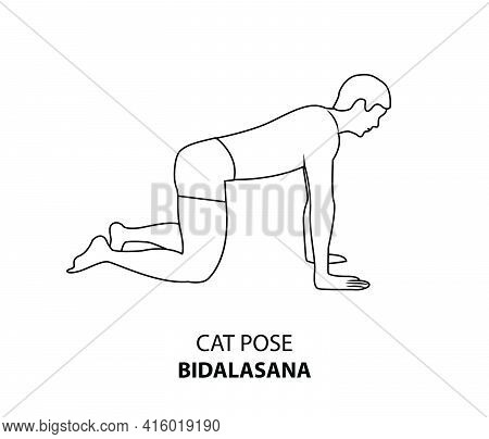 Man Practicing Yoga Pose Isolated Outline Illustration. Man Standing In Cat Pose Or Bidalasana Pose,