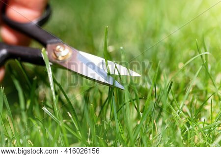 Close-up Detail View Of Man Hand Cutting Green Grass On Backyard Garden With Small Nail Scissors On 