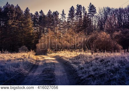 A Beautiful Scenery Of An Old Road Leading Through The Spingtime Forest. Spring Landscape Of A Fores