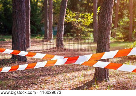 Red And White Barrier Tape, Fenced Off Dangerous Place Or Crime Scene In The Forest