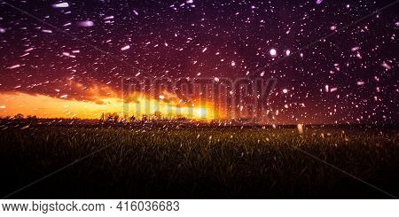 An Unusual Sight Of A Snow Storm On The Green Field In Spring During The Sunset. Dramatic Springtime