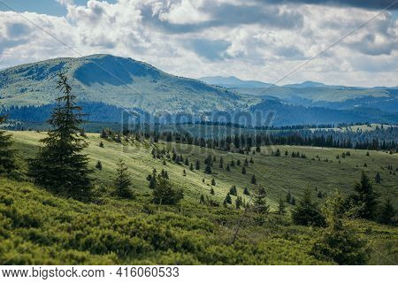 A Herd Of Sheep Grazing In A Field With A Mountain In The Background